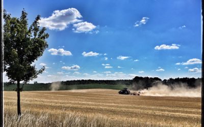 25.7. Durch’s wilde Mecklenburgistan